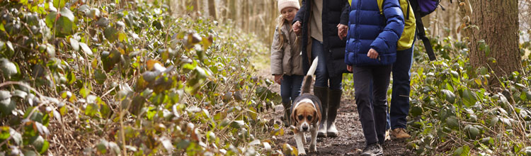 family-walking-with-dog-through-wood (Shutterstock, Monkey Business Images)