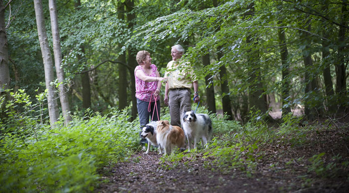 Couple-walking-through-Postern-Hill-campsite