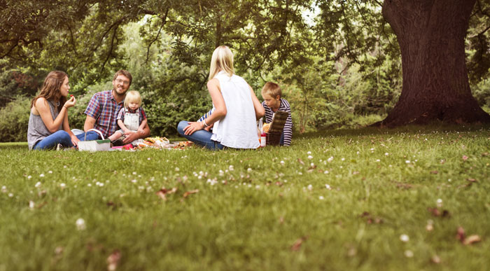 Family-having-a-picnic-(shutterstock_Rawpixel.com)