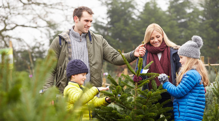 Family-shopping-for-christmas-tree (Shutterstock, Monkey Business Images)