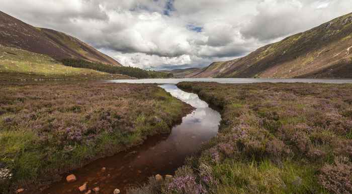 Loch Muick Cairngorms (Shutterstock, Jan Holm)