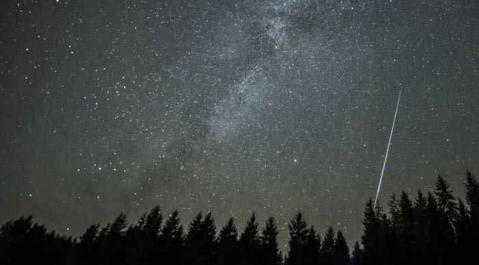 Stargazing-above-the-forest (Shutterstock)