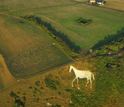 White-Horse-Trail