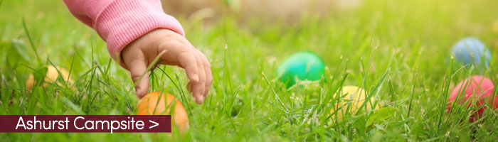 Ashurst-Easter-Egg-Hunt