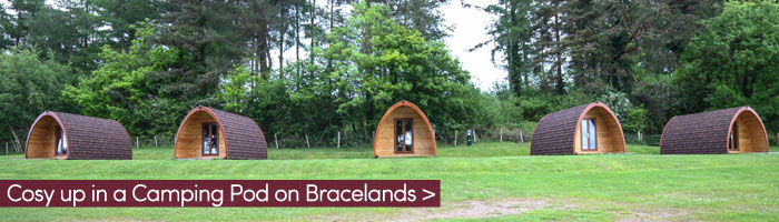 Bracelands-camping-pods-for