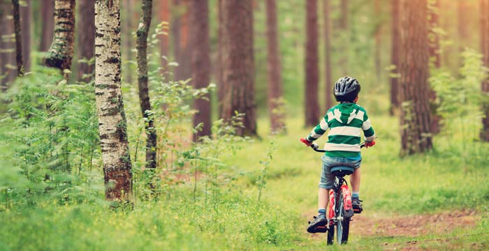 boy-on-bike-in-the-forest(Shutterstock, Anna Grigorjeva)