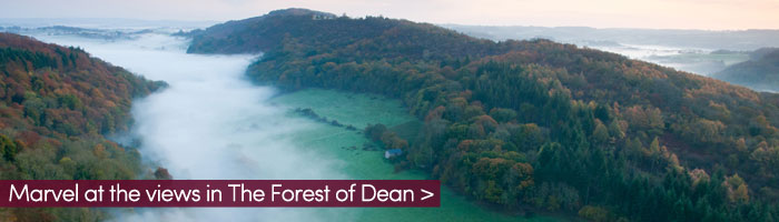 Forest-of-dean (Shutterstock, stocker1970)