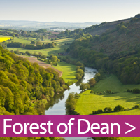 Forest-of-Dean