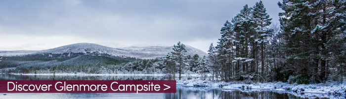 Glenmore-Campsite (Shutterstock, johnbraid)