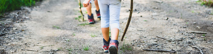 kids-walk-sherwood-forest