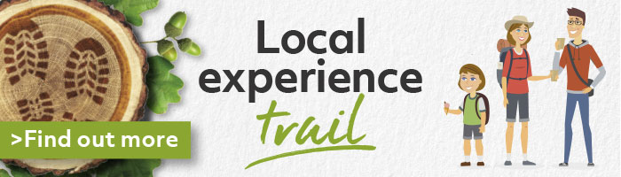 local-experience-banner