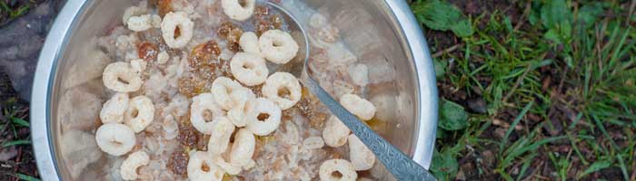 porridge with cereal (shutterstock, Olha Polishchuk)