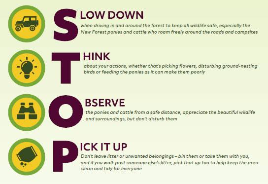 STOP!-acronym-(2)