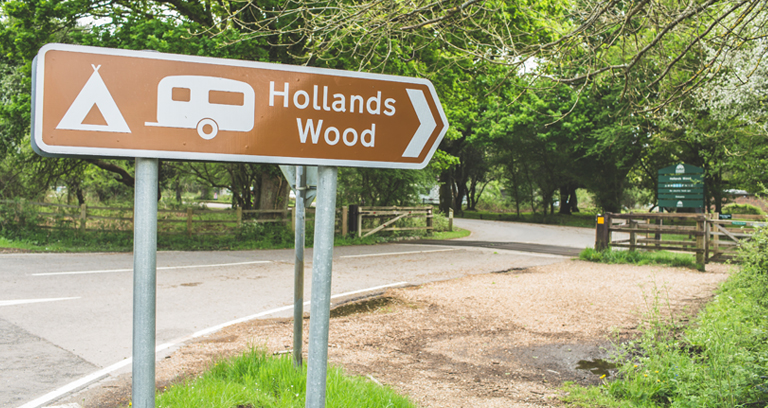 Hollands Wood 03