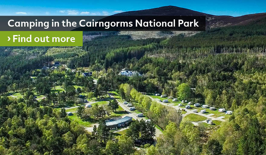 21279_CITF_Camping_in_the_Cairngorms_homepage_banner_880x513px