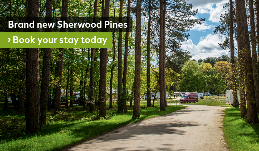 Brand New Sherwood Pines