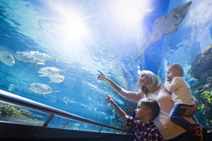 family looking at aquarium (shutterstock, nd3000)