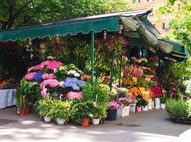 Flower stall (Shutterstock, Nick_Nick)