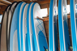 surfboards (shutterstock, Iakov Filimonov)