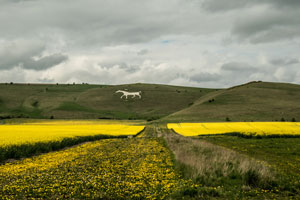 Alton Barnes white horse Wiltshire  (shutterstock, Steve Simmons UK)