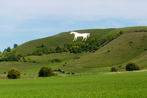 Westbury White Horse (shutterstock, IanRedding)